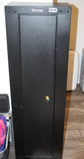 Sentinel Gun Safe