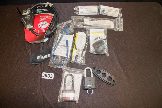 Assorted Gun Locks
