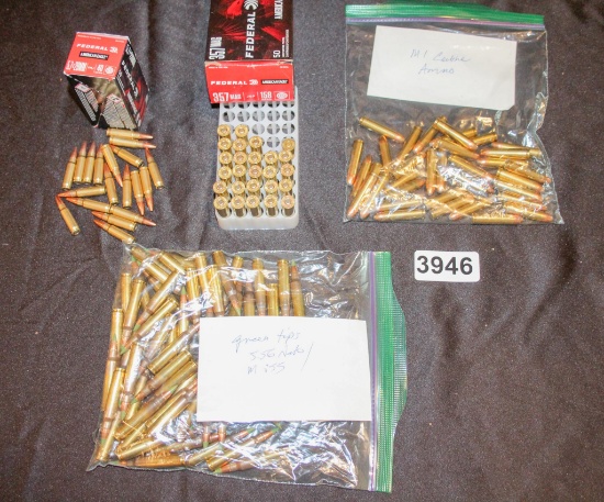 Federal & Bagged Ammo Lot 1