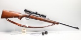 Winchester Model 70, 22 Hornet Rifle