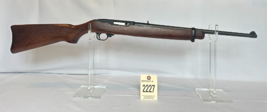 Ruger 10/22 Rifle