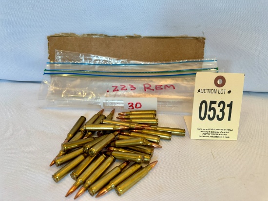 30 Rounds .223 Rem