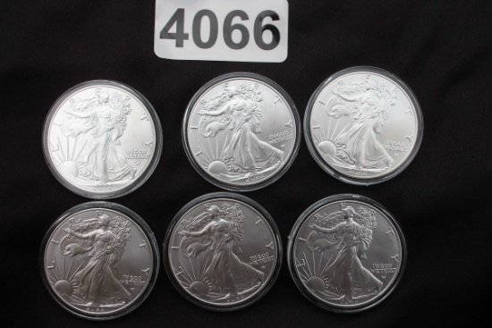 Six 2022 Silver Am Eagle Dollars