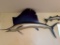 Barricuda and Sailfish Mounts