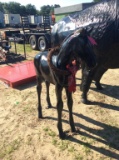 (248)CAST ALUMINUM HORSE