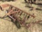 FORD 2 ROW CULTIVATOR