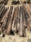 (768)BUNDLE OF 25 WOOD POST