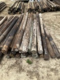 (767)BUNDLE OF 25 WOOD POST