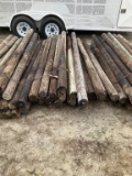 (760)BUNDLE OF 25 WOOD POST