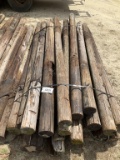 (769)BUNDLE OF 25 WOOD POST