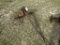(583)BALE SPEAR