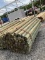 BUNDLE OF 100 - 3