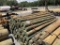 (1101)-(A)BUNDLE OF 100 - 3
