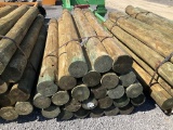 (756)-(A)BUNDLE OF 25 - 7
