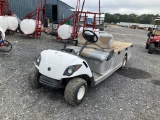 (60)GAS GOLF CART