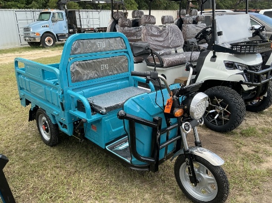 UNUSED SDLANCH IRET13 ELECTRIC TRICYCLE-BLUE