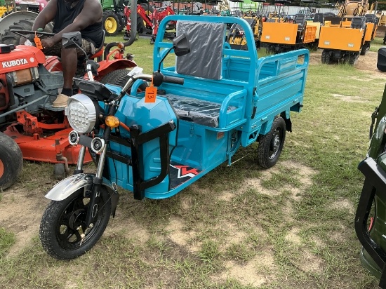 UNUSED SDLANCH IRET13 ELECTRIC TRICYCLE-BLUE