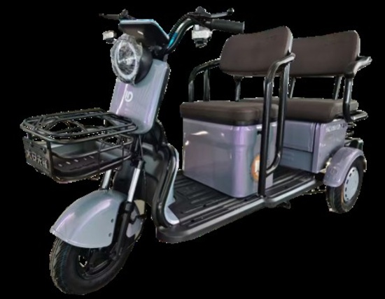 Unused Ircg40 Electric Mini Golf Cart-Grey