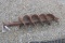 Auger Bit 12