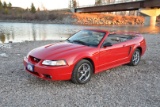 1999 Ford Mustang SVT Cobra