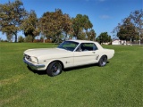 Lot 350- 1966 Ford Mustang 289