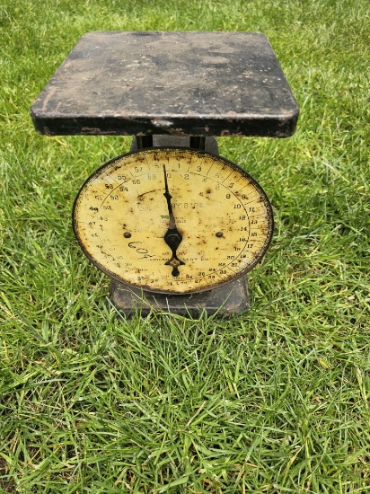 NO RESERVE - Vintage American Cutlery Co. Scale