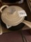 Griswold iron pan CROFTO and porcelain on cast iron sauce pan