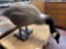 goose decoy