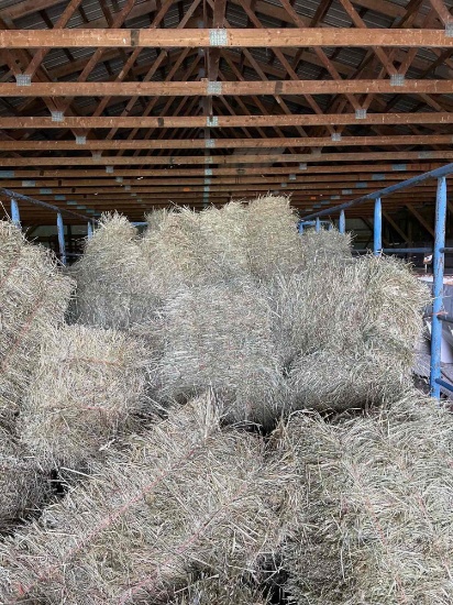 Bales of hay. This years first cutting. Average weight is 55 lbs.