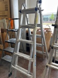 Warner 300 pound adjustable step ladder