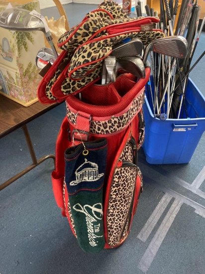 golf clubs with bag