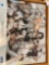 Cleveland Browns Pittsburgh Steelers right church wrong pew by Bob leathers framed art
