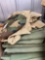 Large Lot Army Military Clothing