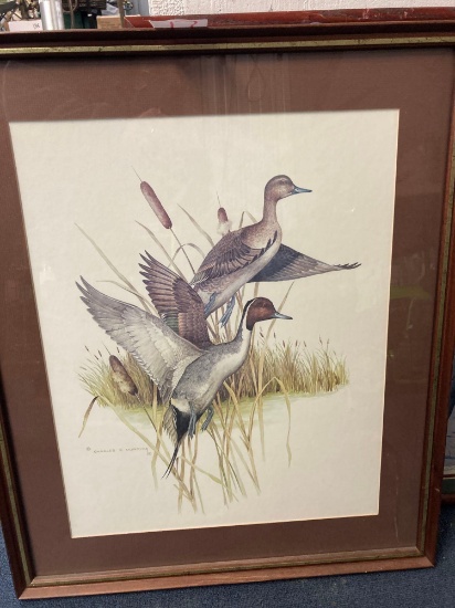 art nature scenes