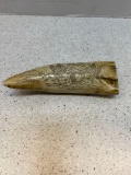 scrimshaw faux whales tooth