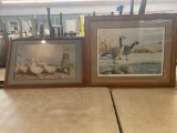 Geese and duck pictures