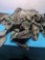 10 M1 helmet camouflage covers
