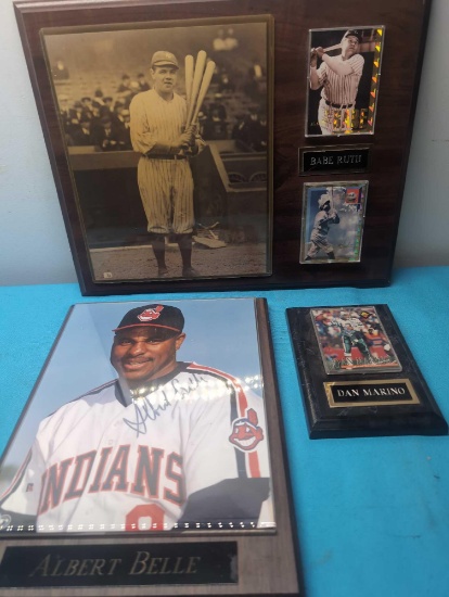 Babe Ruth Albert Belle Dan Marino