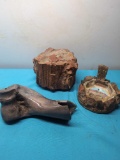 Petrified wood stump and petrified bison bone