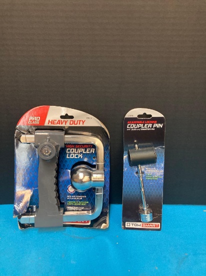 Trailer coupler lock and coupler pin lock