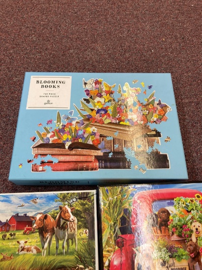 11 puzzles all pieces there