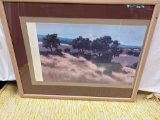 California foothills Don Irwin framed art