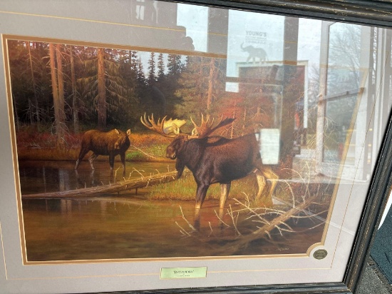 wildlife framed art