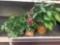4 beautiful fake plants in baskets vary in size