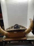 Mounted horns and a sombrero