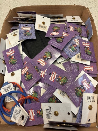 Georgia souvenir pins