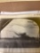 Five airship pictures