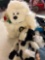 dolls, my buddy and others