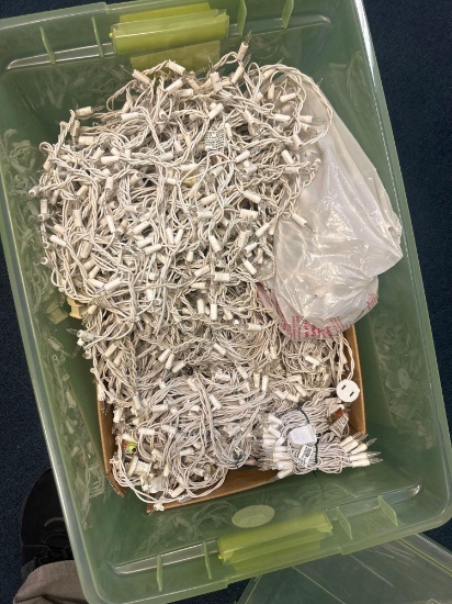 large box of string lights and non working snoopy