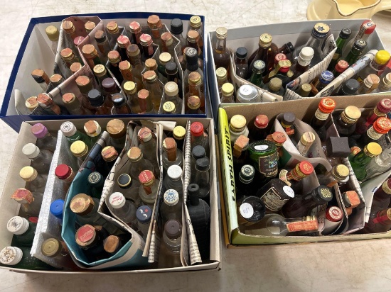 Collection of miniature bottles